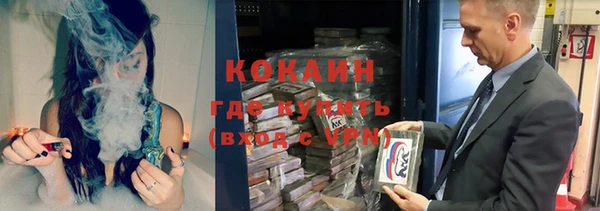 стаф Алзамай
