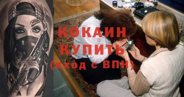 стаф Алзамай