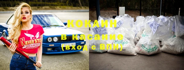 стаф Алзамай