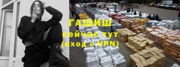 стаф Алзамай