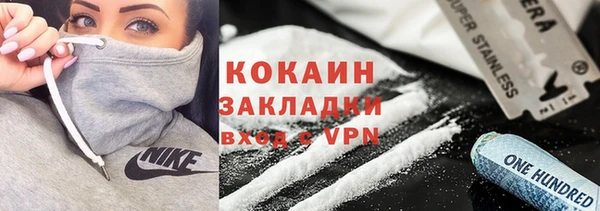 стаф Алзамай